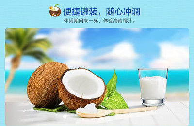 海南特產 南國食品 純椰子粉320g+濃香椰子粉340g早餐速溶椰汁粉