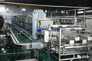 中歐豆制品行業(yè)技術交流會議召開 探索合作共贏新路徑