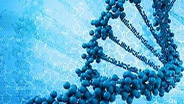 儀器信息網(wǎng)食品安全技術交流會暨技術轉(zhuǎn)讓合作論壇